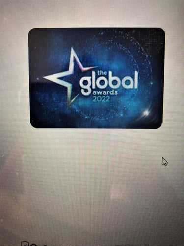 Global Award for Nanobin